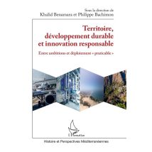 Territoire, Développement Durable Et Innovation Responsable : Entre Ambitions Et Déploiement praticable