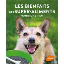 Les Bienfaits Des Super-aliments Pour Mon Chien