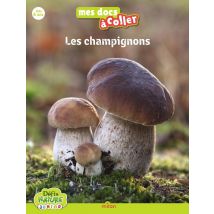 Les Champignons