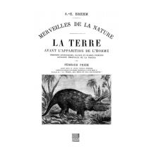 La Terre Avant L'Apparition De L'Homme