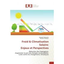 Froid & Climatisation Solaire: Enjeux Et Perspectives