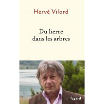 Du Lierre Dans Les Arbres