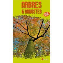 Arbres Et Arbustes