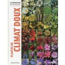 Plantes De Climat Doux