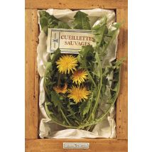 Cueillettes Sauvages