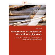 Gazeification Catalytique Du Miscanthus X Giganteus