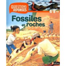Fossiles Et Roches