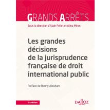 Les Grandes Décisions De La Jurisprudence Française De Droit International Public