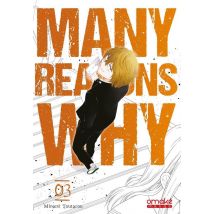 Many Reasons Why Tome 3