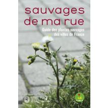 Sauvages De Ma Rue - Guide Des Plantes Sauvages Des Villes De France