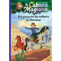 La Cabane Magique, Tome 13