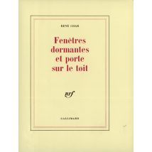 Fenêtres Dormantes Et Porte Sur Le Toit