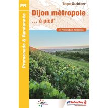 Dijon Métropole... À Pied