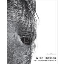 Wilde Horses Of Cumberland Island
