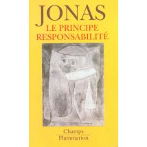 Principe Responsabilite, Une Ethique Pour La Civilisation Technologique (le)