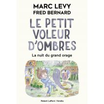 Le Petit Voleur D'Ombres Tome 6 : La Nuit Du Grand Orage