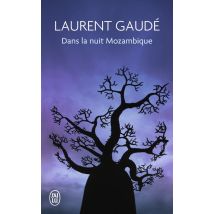 Dans La Nuit Mozambique