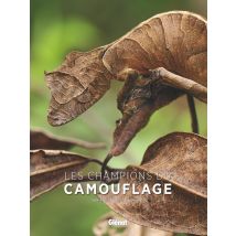 Les Champions Du Camouflage