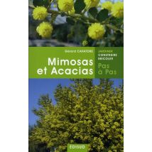 Mimosas Et Acacias Pas À Pas