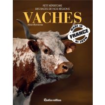 Vaches Made In France