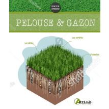 Pelouse & Gazon