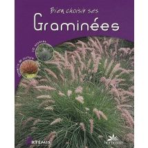 Graminées