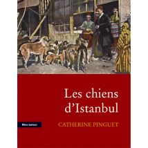Les Chiens D'Istanbul