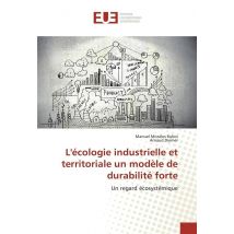 L'Ecologie Industrielle Et Territoriale Un Modele De Durabilite Forte
