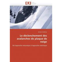 Le Declenchement Des Avalanches De Plaque De Neige