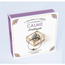 Le Pouvoir Des Pierres : Le Kit Bracelet - Calme, Améthyste