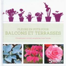 Fleurs En Pots Pour Balcons Et Terrasses