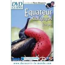 Equateur / Galapagos - La Pureté Originelle