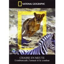 National Geographic - Chasse En Meute - L'Embuscade, L'Assaut Et Le Combat