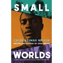 Small Worlds