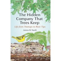 The Hidden Company That Trees Keep : Life From Treetops To Root Tips