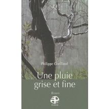 Une Pluie Grise Et Fine