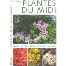 Plantes Du Midi - T01 - Plantes Du Midi - Guide De Recherche, Manuel D'Emploi - Tome 1 - [arbres Et