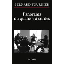 Panorama Du Quatuor À Cordes