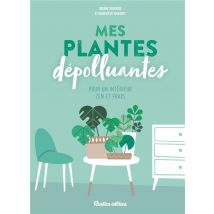 Mes Plantes Depolluantes Pour Un Interieur Zen Et Frais