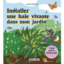Installer Une Haie Vivante Dans Mon Jardin