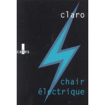 Chair Electrique