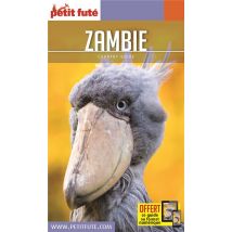 Country Guide : Zambie (édition 2020)
