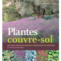 Plantes Couvre-sol - Des Idées Originales Pour Un Jardin Plein De Couleurs Et Sans Entretien