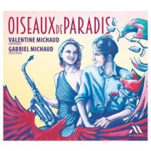 Oiseaux De Paradis