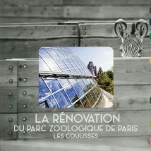La Rénovation Du Parc Zoologique De Paris - Les Coulisses