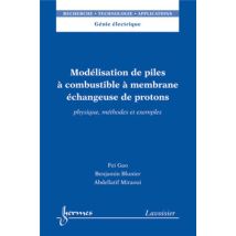 Modélisation De Piles À Combustible À Membrane Échangeuse De Protons