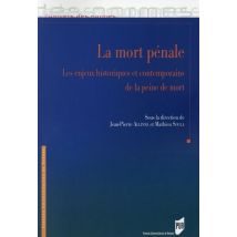 La Mort Pénale - Les Enjeux Historiques Et Contemporains De La Peine De Mort