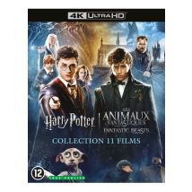 Wizarding World - Harry Potter / Les Animaux Fantastiques - L'Intégrale Coffret 11 Films