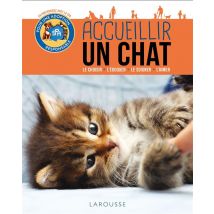 Accueillir Un Chat