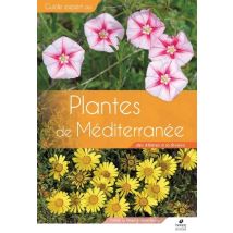 Guide Expert : Plantes De Méditerranée : Des Albères À La Riviera
